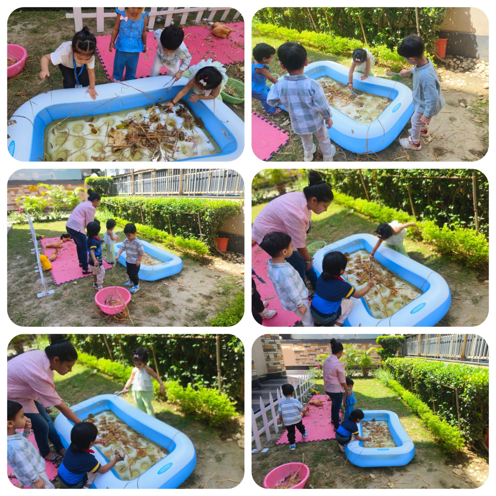 little Jungle helpers